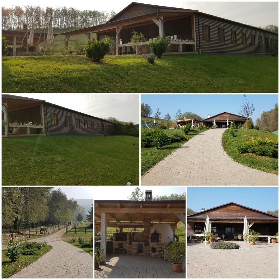 Barsonyberek Vendeghaz Bakony Hotel Jasd Bagian luar foto